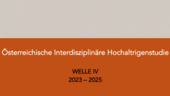 Vorschaubild Hochaltrigenstudie